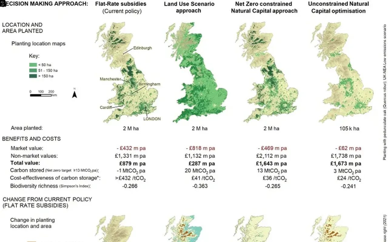Maps of Great Britain showing woodland planting under four decision-making approaches