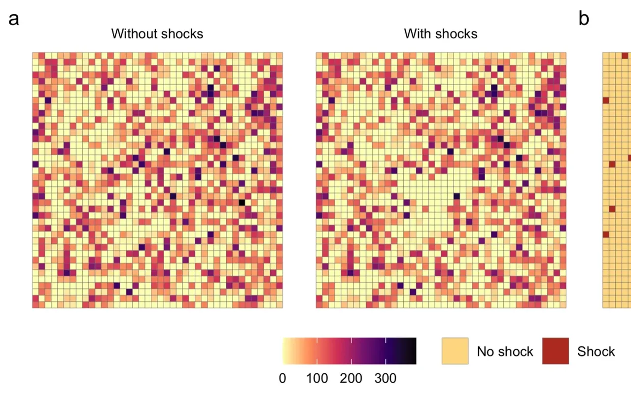 Simulated landscape returns without and with spatially clustered shocks