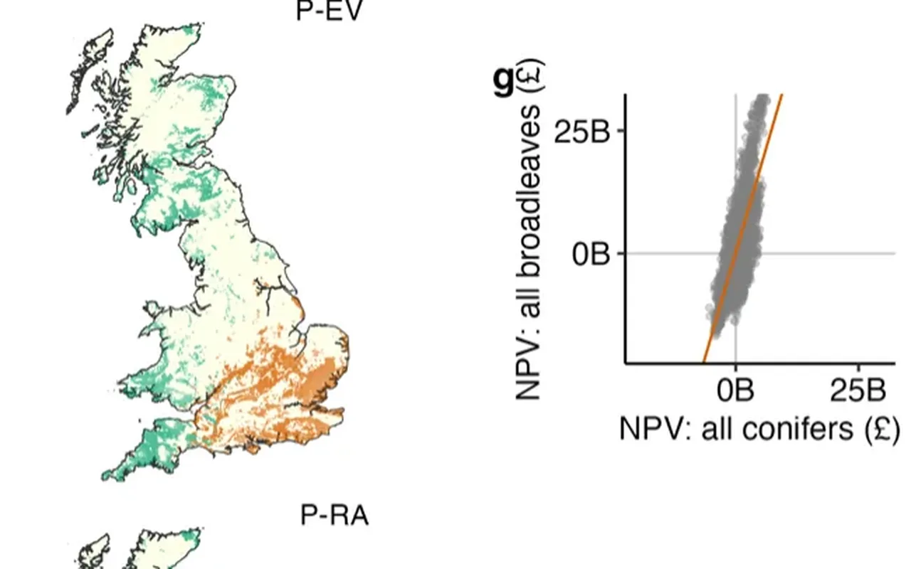 Map of Great Britain showing tree planting under the expected-value strategy, with a scatter of broadleaf against conifer net present value